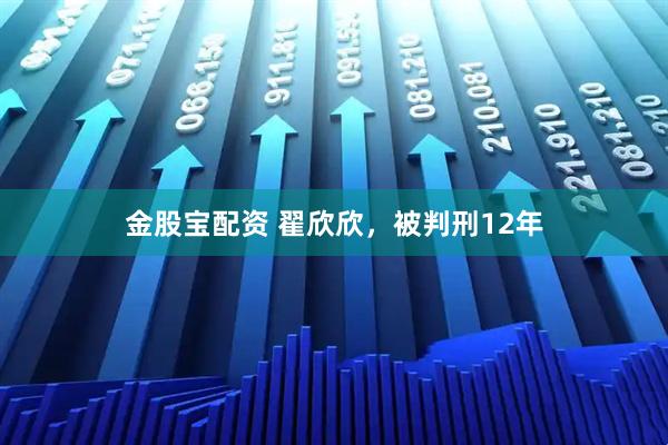 金股宝配资 翟欣欣，被判刑12年