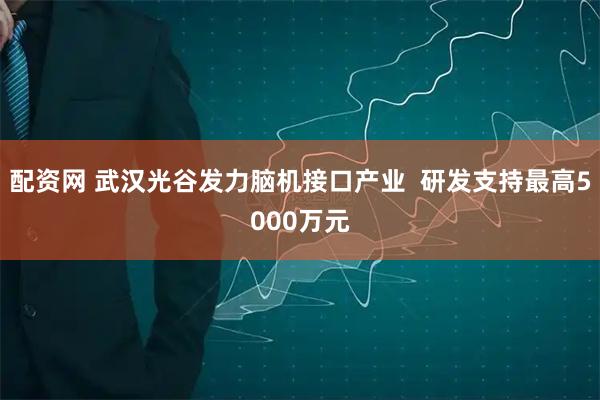 配资网 武汉光谷发力脑机接口产业  研发支持最高5000万元