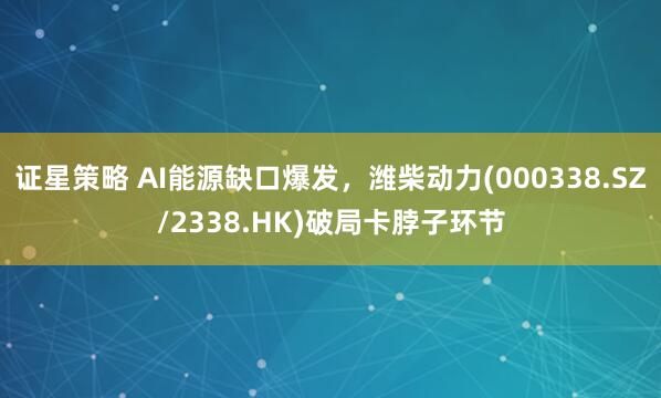 证星策略 AI能源缺口爆发，潍柴动力(000338.SZ/2338.HK)破局卡脖子环节